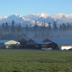 Davison Farms, Maple Ridge, BC opening hours