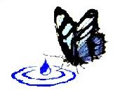 Papillon Purification Systems Inc, Acton, ON opening hours