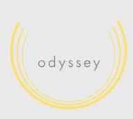 Odyssey Fireplaces Ltd, Woodbridge, ON opening hours