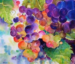 Vino Creations, Bobcaygeon, ON opening hours