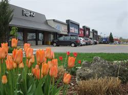 Stonegate Properties, Campbellville, ON opening hours