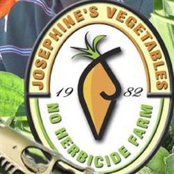 Josephine's Vegetables & Dinosaur Valley Mini Golf, Chelmsford, ON opening hours