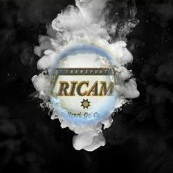Transport Tricam Inc, Saint-Henri-de-Lévis, QC opening hours