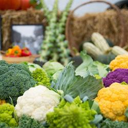 Fruits and Legumes Rg Enr, Lamartine, QC opening hours