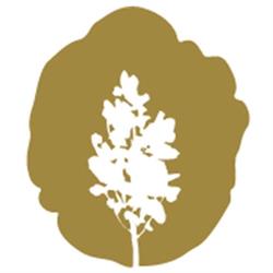 The New Oak Tree, Carleton Place, ON opening hours