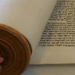 Am Shalom Congregation, Barrie, ON opening hours