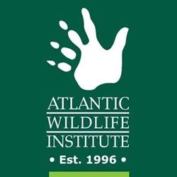 Atlantic Wildlife Institute, Cookville, NB opening hours