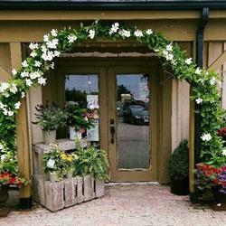 The Living Outdoors Ltd, Cambridge, ON opening hours
