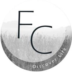 Medicine Hat Family Church, opening hours