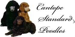 Cantope Dog Boarding Kennel, Pefferlaw, ON opening hours