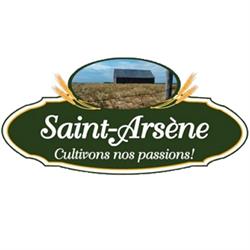St-Arsène (Municipalité de) in Saint-Arsene, opening hours