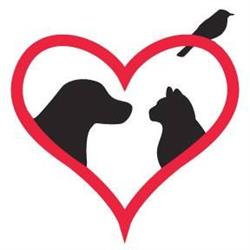 Chidiac Animal Hospital, Elmvale, ON opening hours