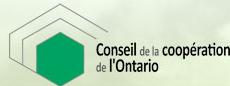 Conseil de La Cooperation de l Ontario Cco, Ottawa, ON opening hours