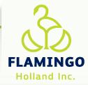 Flamingo Holland Inc, St. George Brant, ON opening hours