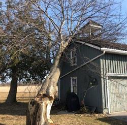 Stiles Tree Service Inc, Keswick, ON opening hours
