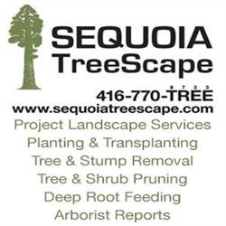 Sequoia TreeScape Tree Service, Newmarket, ON opening hours