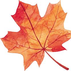 Maplewood Dental, Barrie, ON opening hours