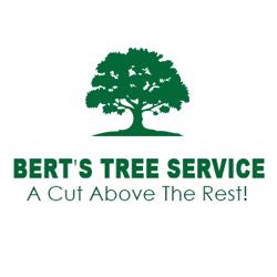 Berts Tree Service, Sydenham, ON opening hours