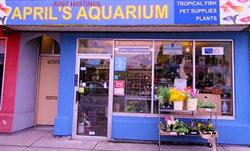 Aprils Aquarium, Burnaby, BC opening hours