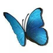 Nice Care Living, Toronto, ON opening hours