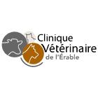Clinique Vétérinaire de l'Érable Inc, Plessisville, QC opening hours