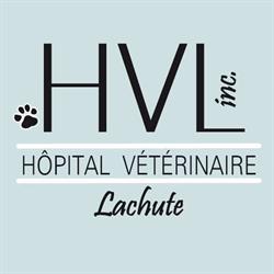 Hopital Vétérinaire Lachute, opening hours