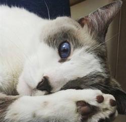 MarketPlace Animal Hospital in Edmonton, AB (West Edmonton) - Opening Hours