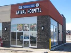 Panorama Hills Animal Hospital, Calgary, AB opening hours