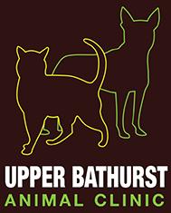 Upper Bathurst Animal Clinic, North York, ON opening hours