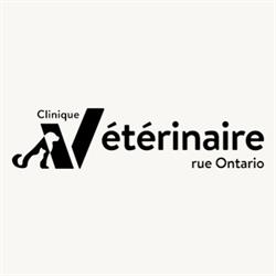 Clinique Vétérinaire Rue Ontario, Montréal, QC opening hours