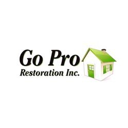 Go Pro Restoration Inc., Ottawa, ON opening hours