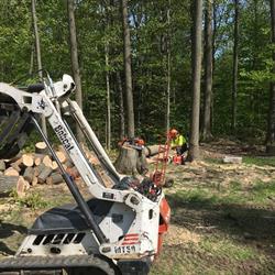 Timberjack Tree Service, Barrie, ON opening hours