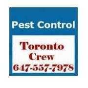 Pest Control Toronto Crew, opening hours