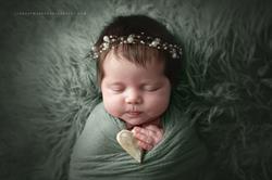 Lindsay Maahs Photography, Ottawa, ON opening hours