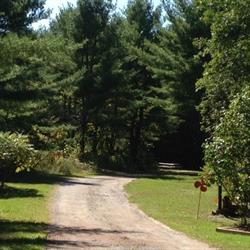 Spruce Glen Trailer Park, Coboconk, ON opening hours