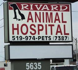 Rivard Animal Hospital, Windsor, ON opening hours