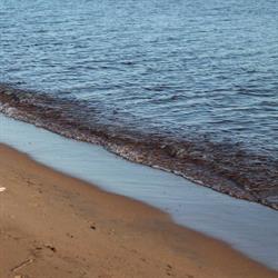 Wild Rose RV Park - Seasonal RV Park, Batchawana Bay, ON opening hours