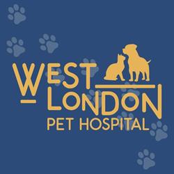 West London Pet Hospital, opening hours