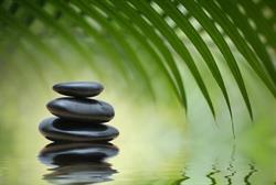Thornhill Naturopathic, opening hours