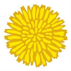 Dandelion Foods, Almonte, ON opening hours