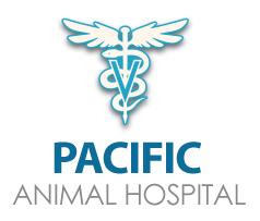 Pacific Animal Hospital, Surrey, BC opening hours