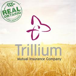 Trillium Mutual Insurance, Listowel, ON opening hours