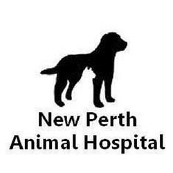 New Perth Animal Hospital, Cardigan, PE opening hours