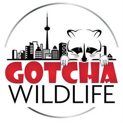 Gotcha Wildlife in Toronto, ON (Midtown Toronto) - Opening Hours