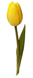 Inner Voice Counselling in Vancouver, BC (Fairview) - Opening Hours