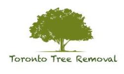 Toronto Tree Removal - Arborist Toronto, opening hours