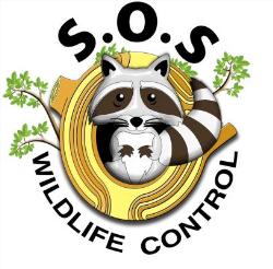 SOS Wildlife Control, North York, ON opening hours