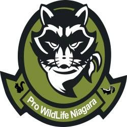 Pro Wildlife Niagara, Grimsby, ON opening hours