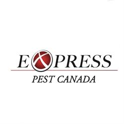 Express Pest Control, Surrey, BC opening hours