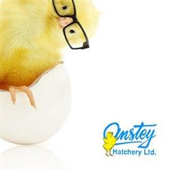 Anstey Hatchery, Saskatoon, SK opening hours